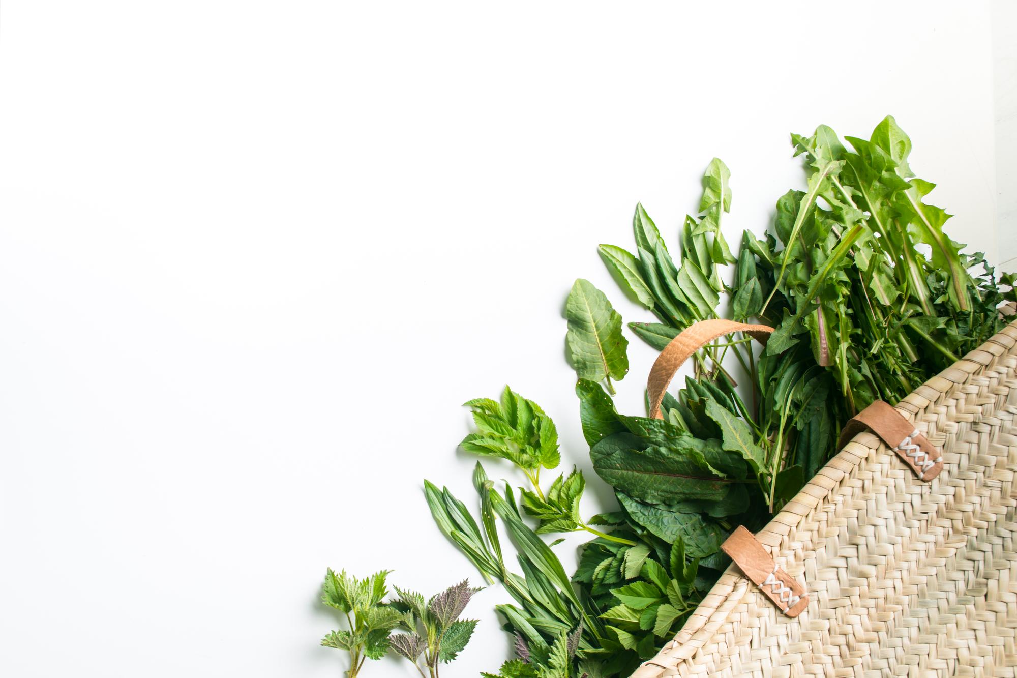 Small photo: close-up of herbs and spices